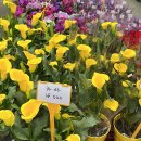 오리역.하나로마트 이미지