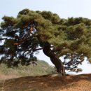 순자추어탕 이미지