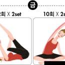 밴드 스트레칭 이미지