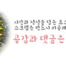맘스터치중앙점 이미지