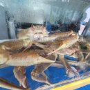 롯데횟집 이미지