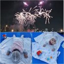 ㈜새성진 마포지점 | 2026 서울세계불꽃축제 9월 5일 일정 명당 준비물 방문 귀가 꿀팁 총정리 온라인생중계