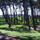 석병초등학교 이미지