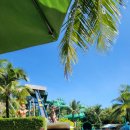 더선월드 | 케이블카는 거들 뿐.. 기다리지 않는 워터파크가 있다?? 혼똔섬 선월드 워터파크 후기, 준비물, 예매방법