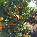 성의농장 이미지