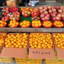 송파과수원