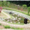 숲속유치원 이미지