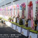 여수화환