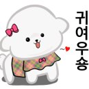 우월한 탄산 이미지