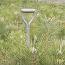 해송4로 이미지