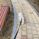 우리반상시월구미점 이미지