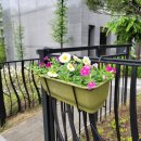 교동행정복지센터 이미지