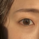 윙크 광주충장로점 | 드디어 광주에도 생긴 장원영렌즈&lt;&lt;HApa Kristin&gt;&gt;
