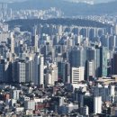 77부동산중개 이미지