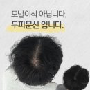 포항남자