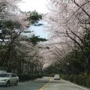 마창대교 밑 이미지