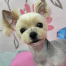 하나동물병원 이미지