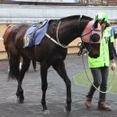 제이에스초이스 이미지