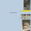 산청동물병원 네이버블로그