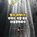 바비독 | 여행 5일차(2) 뚜까드 쯔뿡 우붓 폭포, 바비굴링, 와룽폰독마두 메뉴 추천, 우붓시장 간식 말디토스...