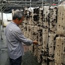 생목농장 이미지