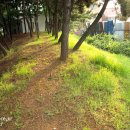 일동라스베가스 공원 이미지