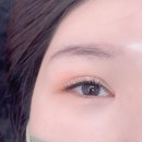 디어마이래쉬