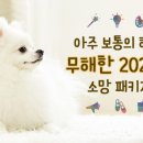 [소확성] 건강식이 만드는 저절로 다이어트, 채소과일식의 모든 것 | [ 신규 패키지 ] 🚩2025 아.보.하 패키지 ( 아주 보통의 하루 )