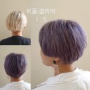 아우라컬러 이미지