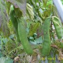 다락골농장 이미지