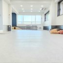 에듀멍 애견유치원 호텔 이미지