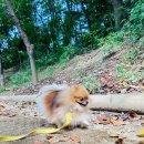 바우스쿨 이미지