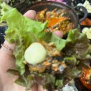 편백나무펜션 | 것만 보고 먹는 남해여행 용문사, 남해토종 배가네멸치쌈밥, 독일마을 근처 로뎀편백나무펜션 숙박후기