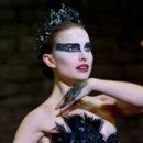 Black Swan 이미지
