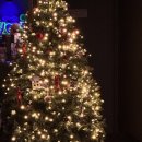 중앙동112 이미지