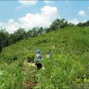 만남의광장 이미지