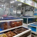 주문진활어회센타 이미지