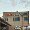 도다리 | 강원도 속초 고성 회 포장 전문 회제작소에서 방어 도다리 후기