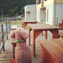 무주모모펜션 이미지