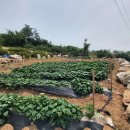 동읍스카이공인중개사사무소 이미지