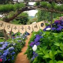 수국카페
