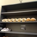 아모레카운샐러 | 2026년 1월 일상