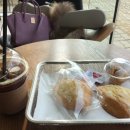 103커피이야기