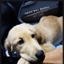 광천복권방 이미지