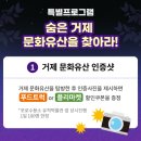 장평포로수용소 이미지