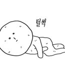 화인태권도 네이버블로그
