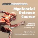 2024년도 서울시회 MFR 신청안내 이미지