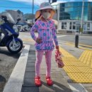 닥터김동물의료센터 이미지