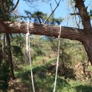 부흥리 방파제 앞 | 해파랑길19코스(2019.10.20) 화진해변 ~ 강구항 끝없이 지루한 동해바다 만(블루로드D)