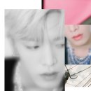 127 티브이데일리